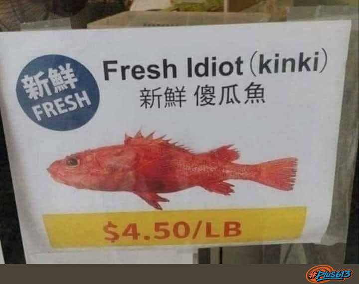 so kinki