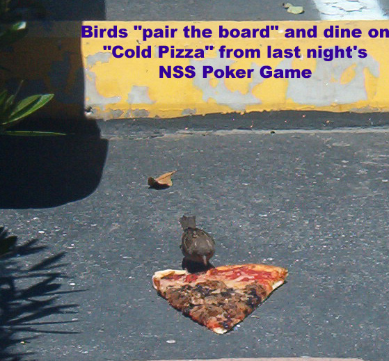 Birds get cold pizza after company Poker Night