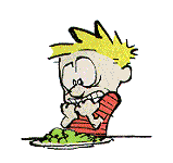Calvin and Hobbes 5