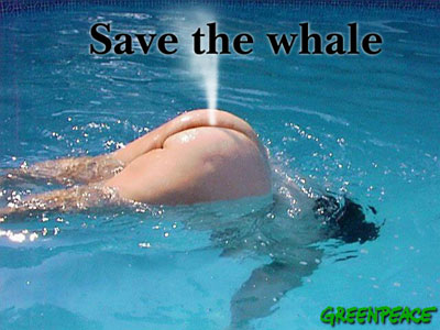 Save the whales