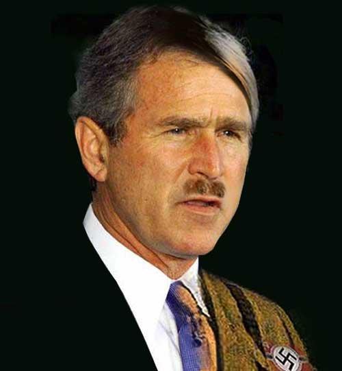 Bush's new Portrait