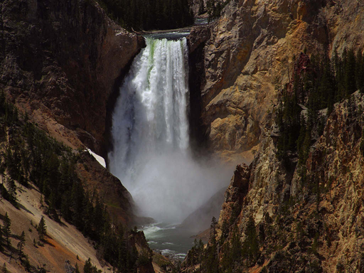 Yellowstone Lower Falls