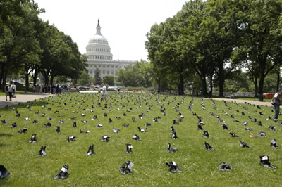 Boots of the fallen in DC that Bush does not respect