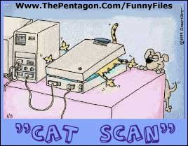 cat scan