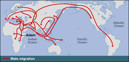 Historical Human Migration Routes