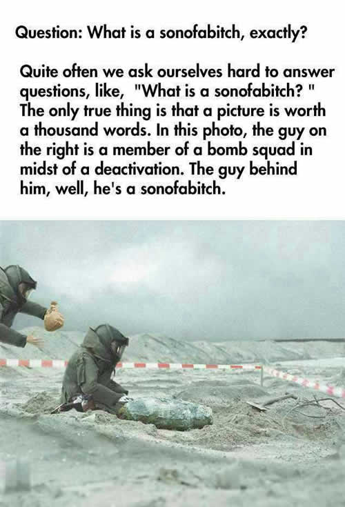 What is a sonofabitch