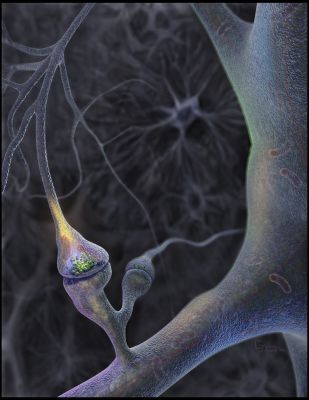 Neuron transmitting message