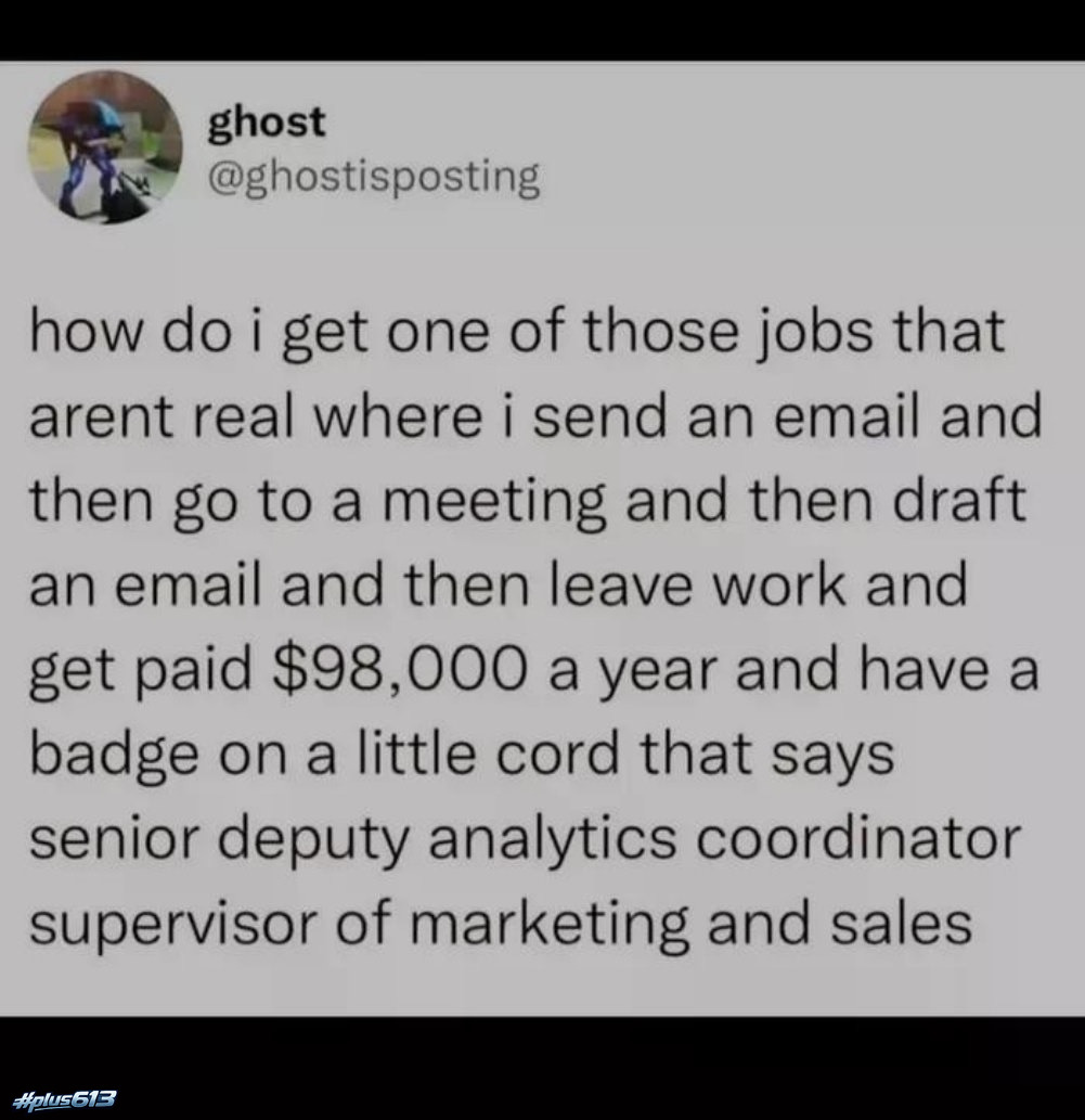 pulse' actual job description