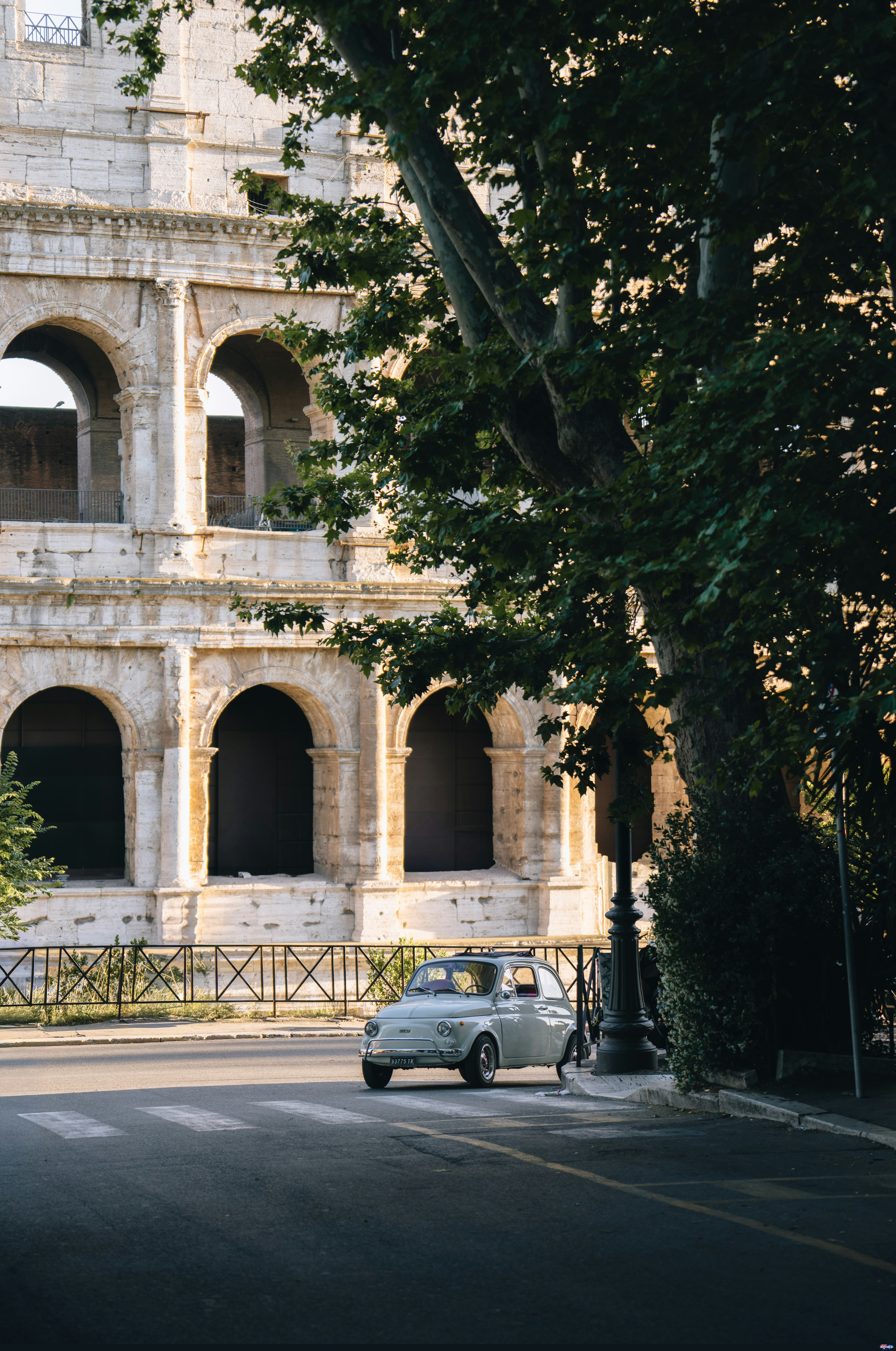 Vintage car parked near the colosseum with a large tree by Peter Thomas