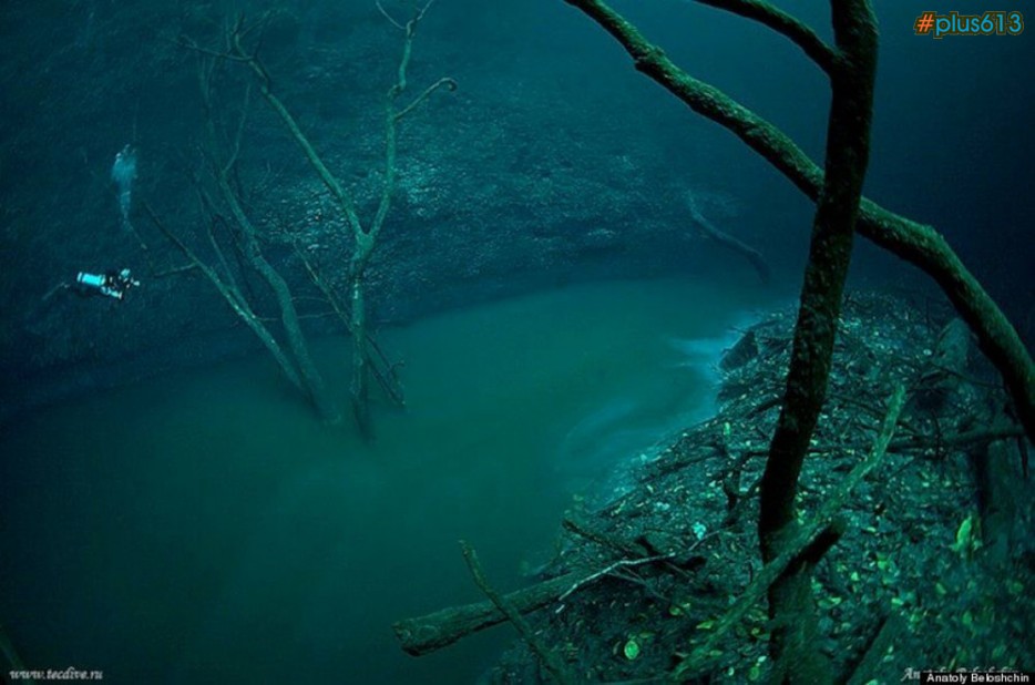 Underwater River, Cenote Angelita, Mexico