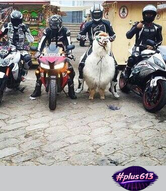 Let's ride!