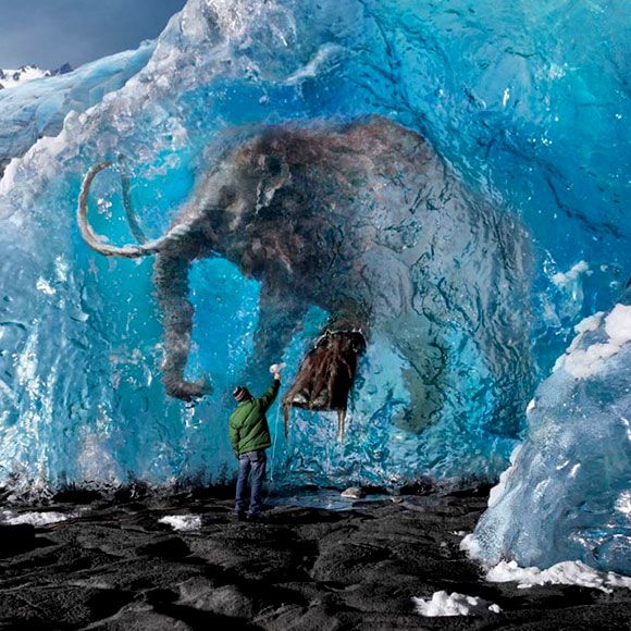 Frozen woolly mammoth