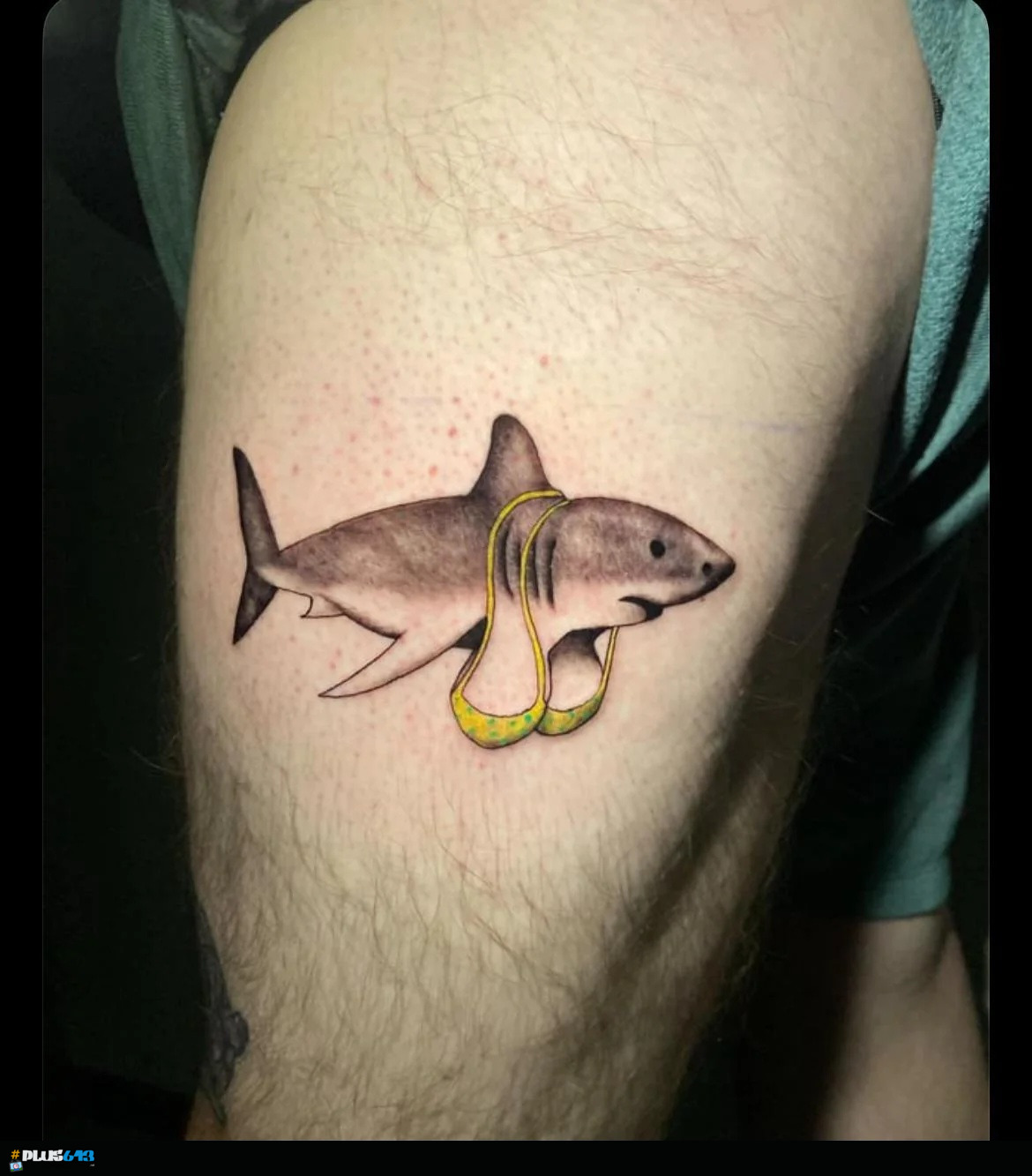 Tittyshark
