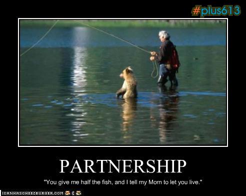 bear fishing partnership