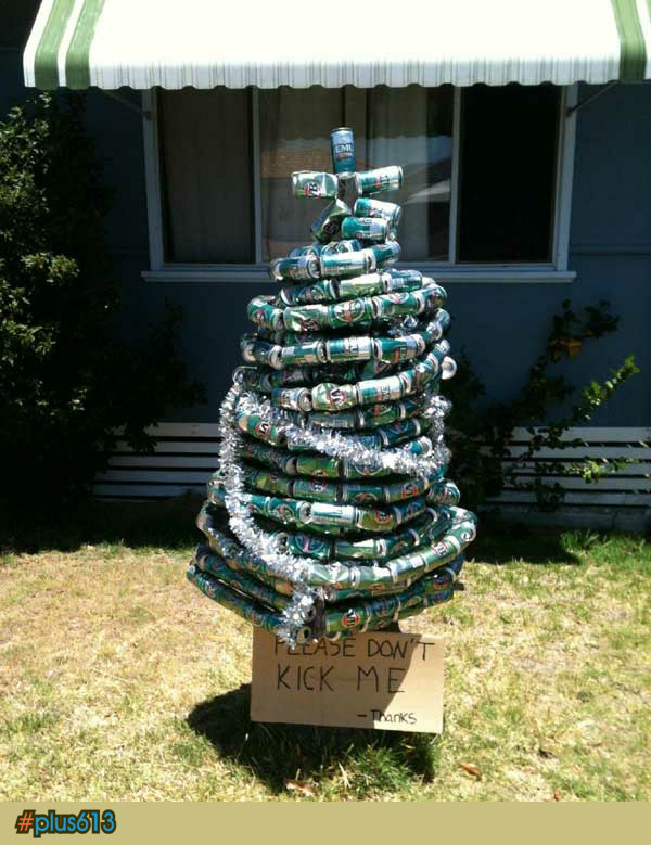 This years Christmas Tree nearly ready to go out