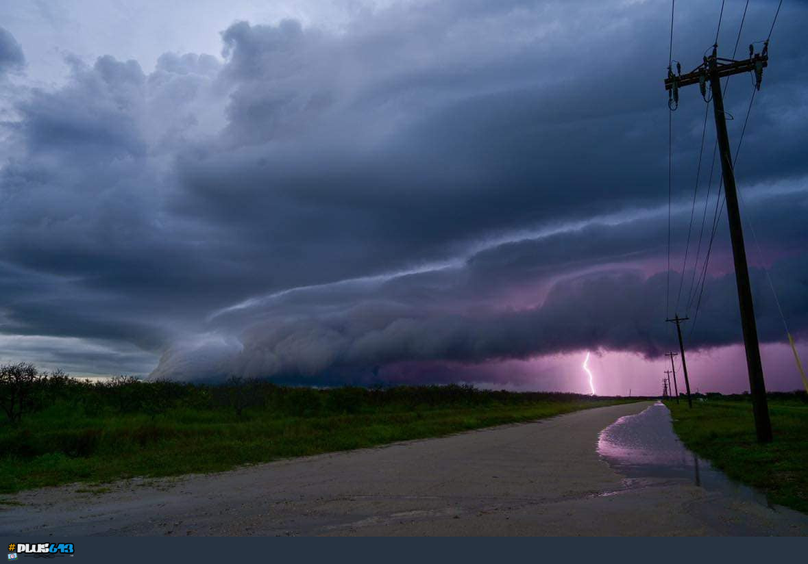Florida dirt road 
