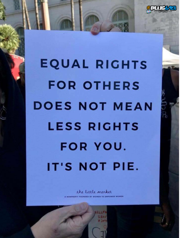 Equality pie