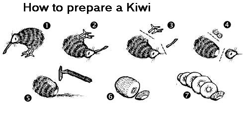 kiwi prep