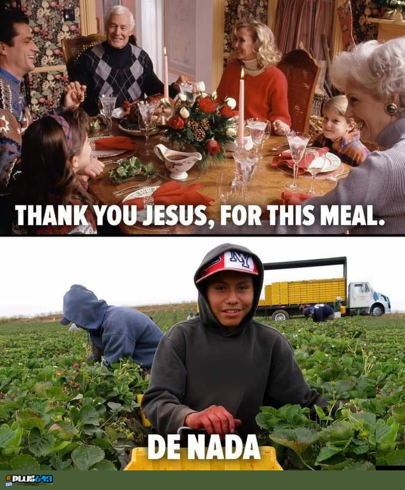 Gratitude