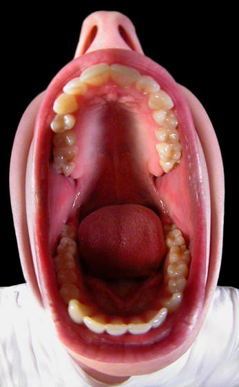 Thats a mouth