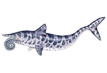 a prehistorik shark