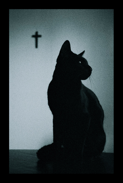 cat and cross