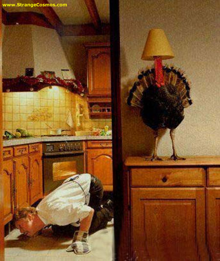 i'm not a turkey, i'm a lamp