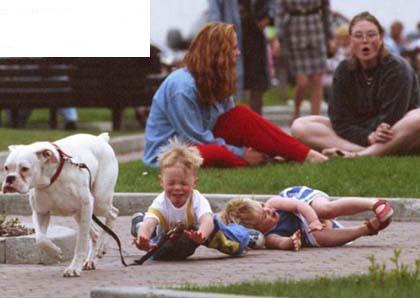 Dayh care, doggy style...