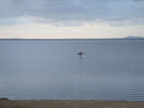 Kangaroo lake...