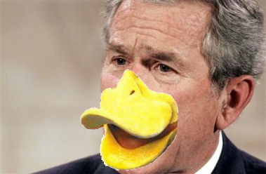 Quack ! .. Quack !