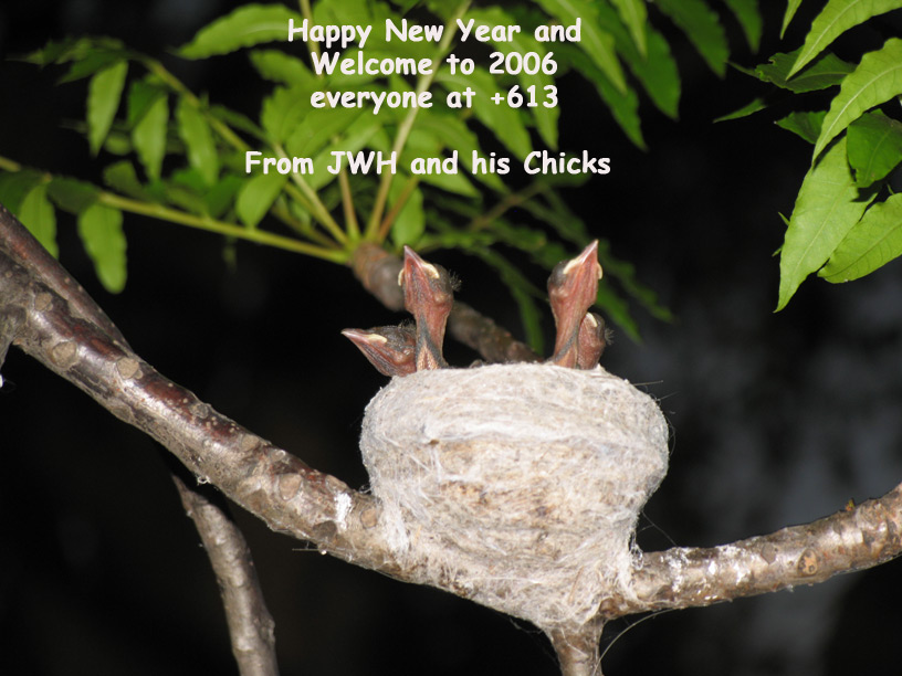 Happy New Year from JWH and his Chicks