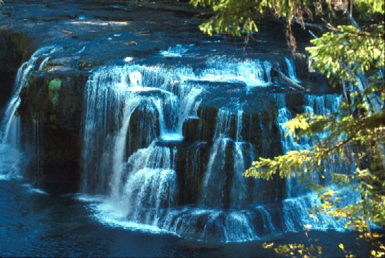 lower falls - lewis river