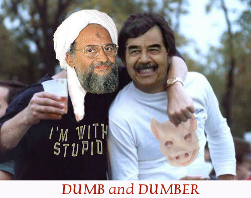 DUMB and DUMBER