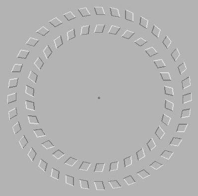 Spinning circles illusion...