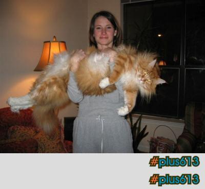 A woman with a giant pussy