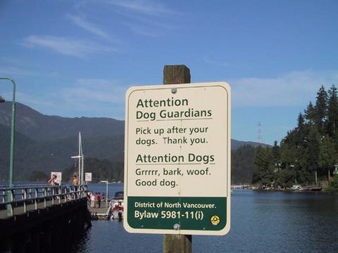 Vancouver dogs...