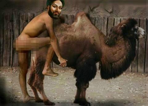 Camel HUMPers