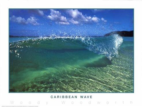 Caribbean Wave