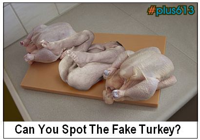 Spot the fake turkey