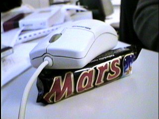 Mouse found on Mars