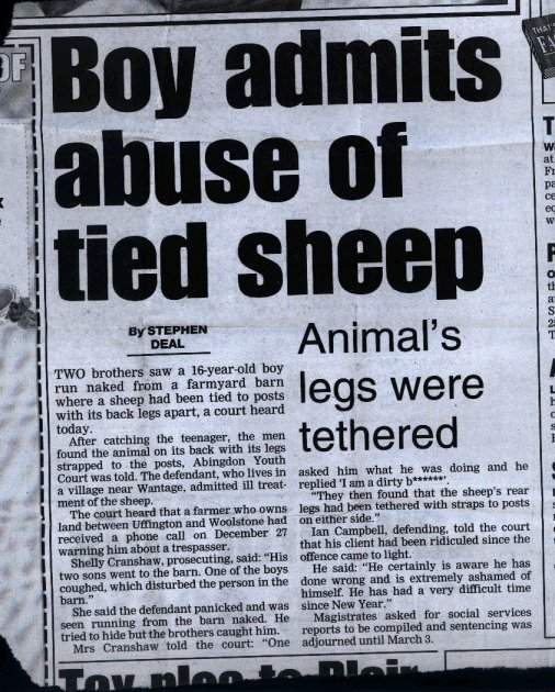 sheep  molester