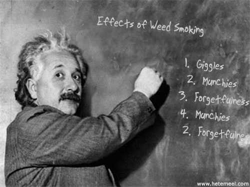 The Effects of Weed Smoking on Smart People