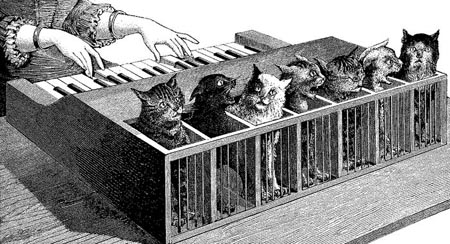 The Cat Piano