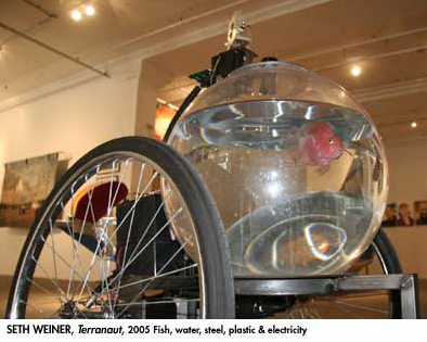 The fish that needed a bicycle...