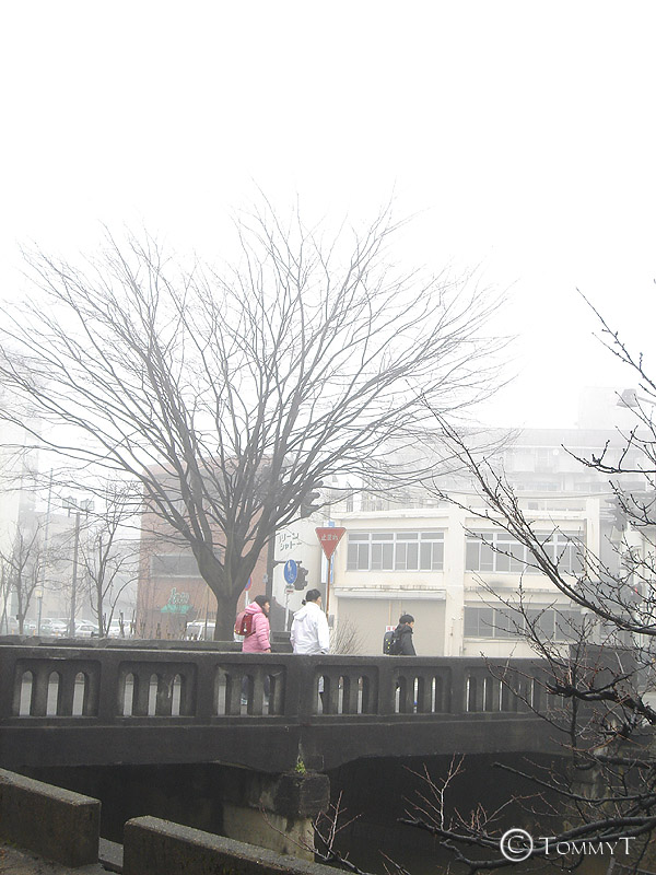 Nagaoka in Fog 8
