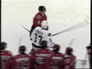 a really short hockey fight