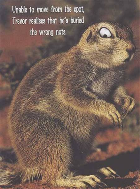 wrong nuts!
