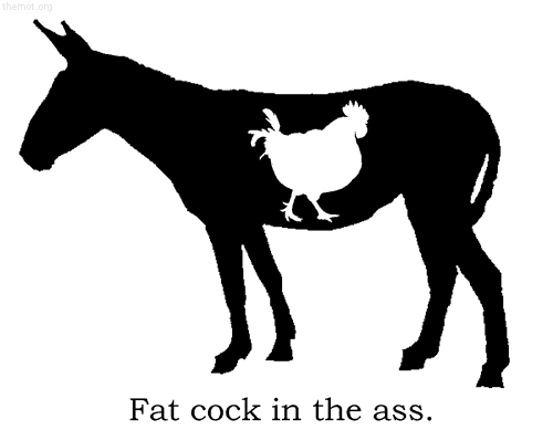 Fat Cock and Ass