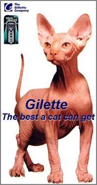 Gilette - The Best A Cat Can Get