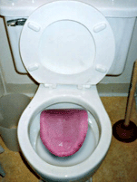 Toilet with inbuilt toilet paper